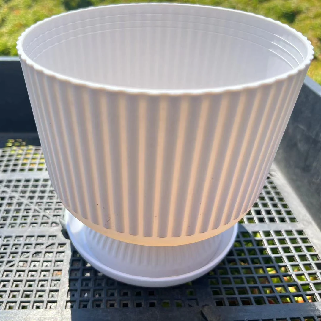 多肉专用罗马花盆