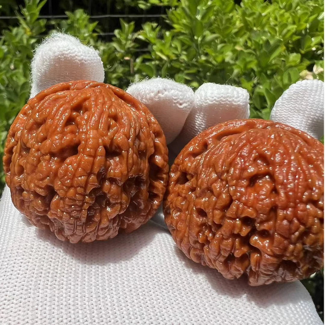 【蛤蟆背】秦岭野生文玩核桃精选配对