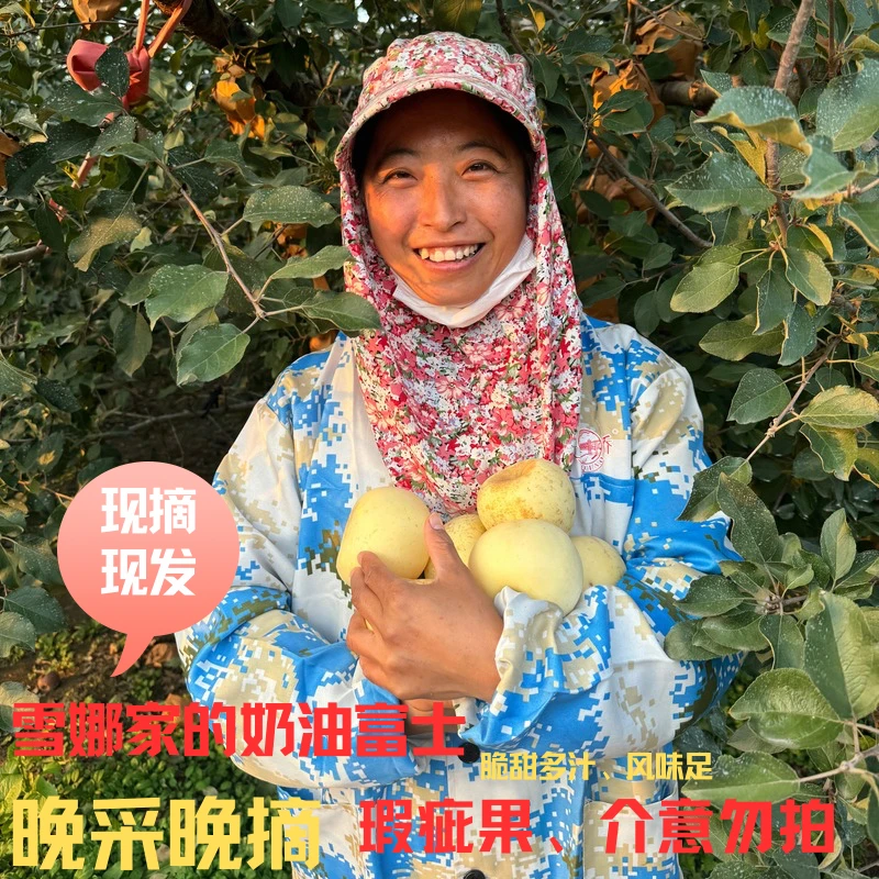 奶油富士瑕疵果4.5斤各种小瑕疵：风裂口、小斑点、干疤果锈不坏不烂