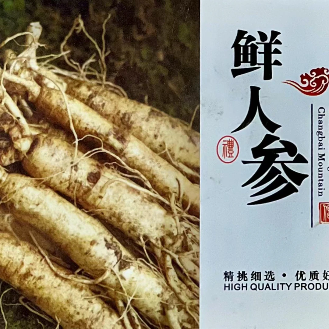 长白山人参龙的世界专属链接