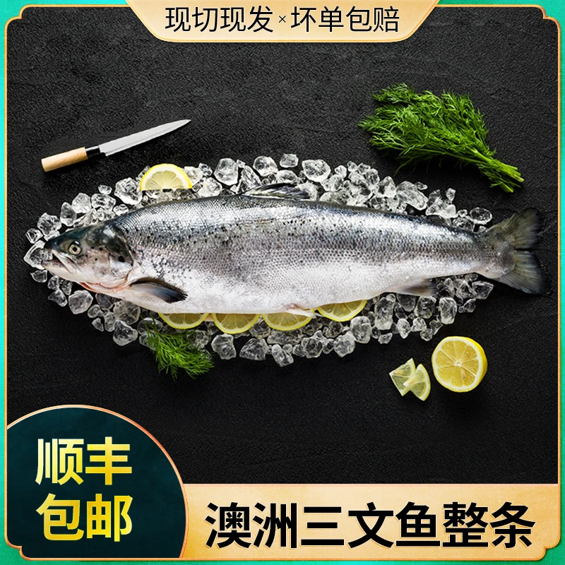 【老罗优选 】澳洲进口冰鲜三文鱼鱼生日料刺身拼盘大西洋鲑鱼