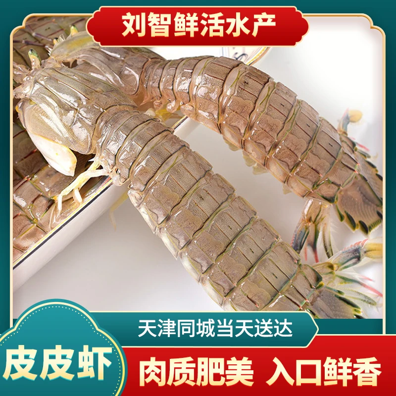 【精品】皮皮虾 （一斤18条左右）海产 2-5斤 到货不保活