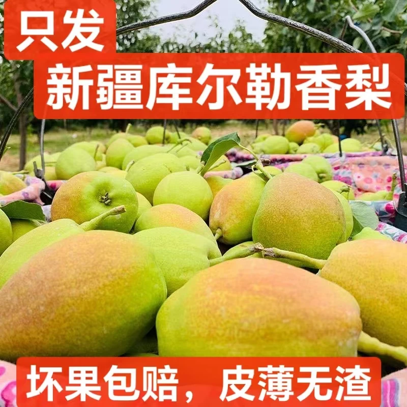 大美新疆库尔勒香梨直发口口爆汁口感香甜果肉细腻坏果包赔产地发