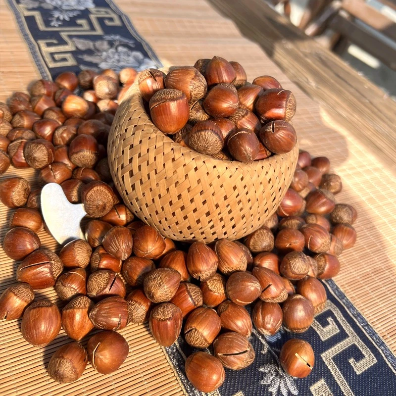 【喜农夫旗舰店】野生榛子2斤-3斤-5斤装包邮到家