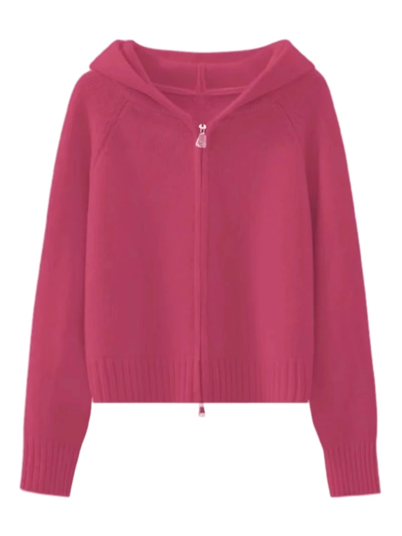 韩版慵懒风连帽针织开衫毛衣外套女2025秋冬新款穿搭洋气减龄上衣