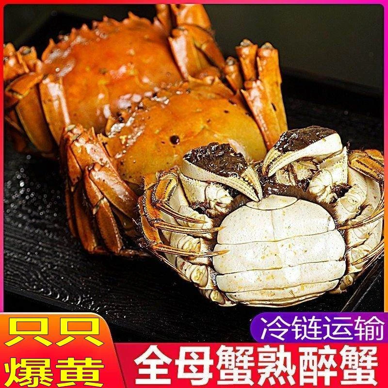 巨大蟹母蟹2.5-2.3两10只可清蒸可香辣螃蟹