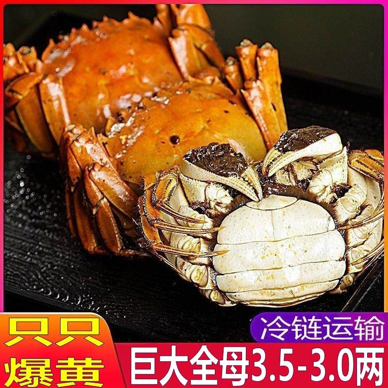 巨大蟹3.5-3.0两10只香辣螃蟹海鲜