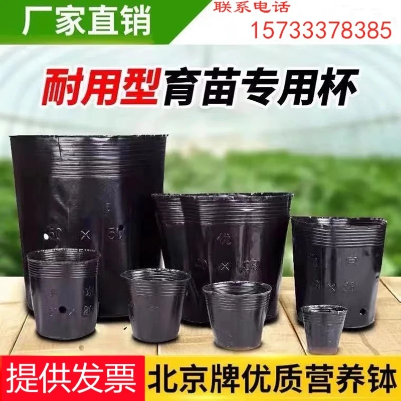 营养杯育苗杯营养钵育苗盆塑料加厚一次性农用营养袋育苗袋花盆大