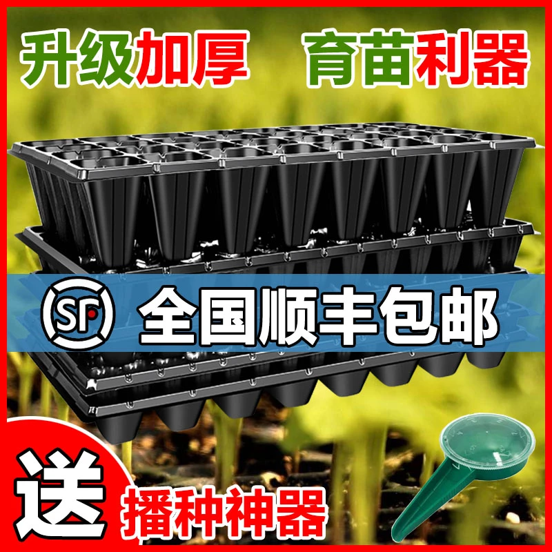多肉育苗盘穴盘塑料育苗器育苗盆蔬菜育苗盆苗木育苗盒整箱