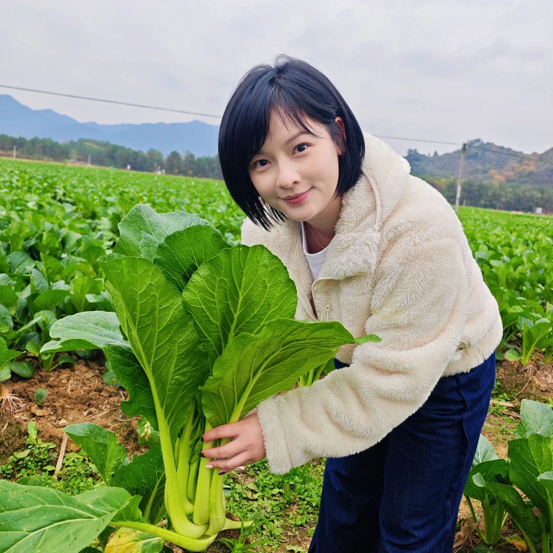 皇福临连州霜后菜心！新鲜现摘先发！有机肥种植清甜无渣5斤