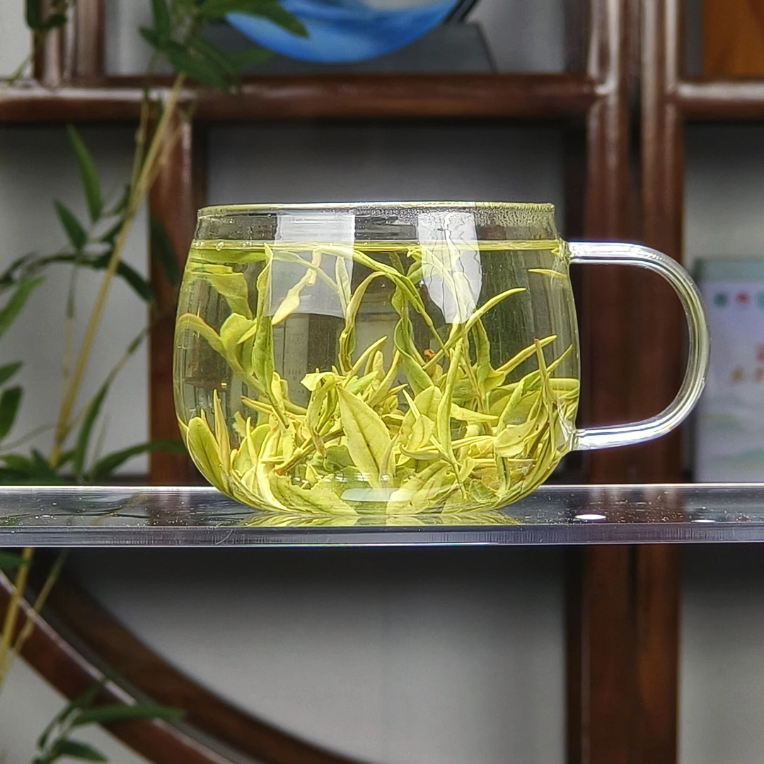 【福利款】安吉溪龙白茶