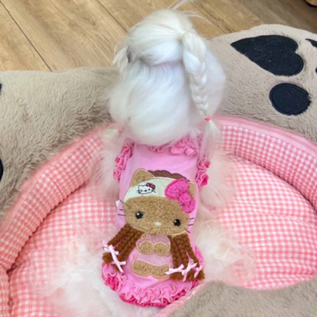 （wasabi专属）黑皮脏辫贴布绣双层花边可爱家居服水粉公主甜美百搭