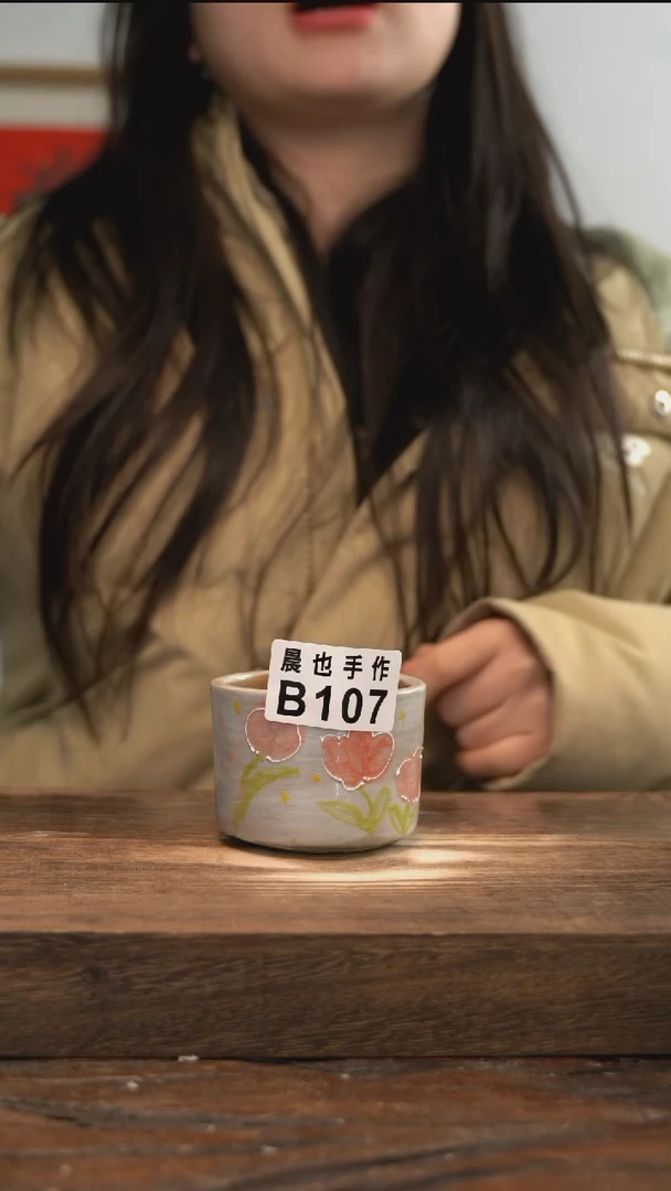 【闪购商品】陶瓷B107