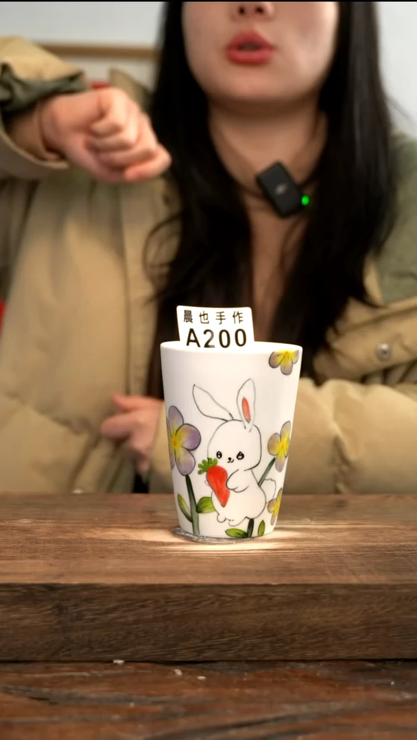 【闪购商品】陶瓷A200