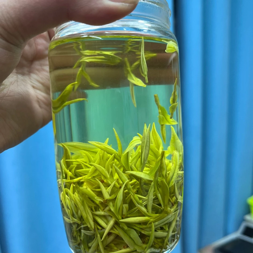 【v1】2024年新茶明前头春珍稀白茶高山白茶罐装250g/500g