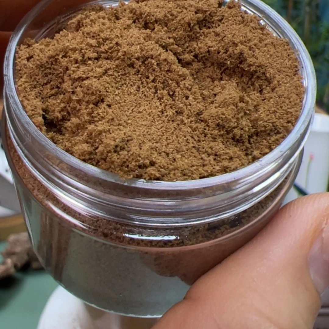 【闪购商品】奇楠乌身老料粉16克