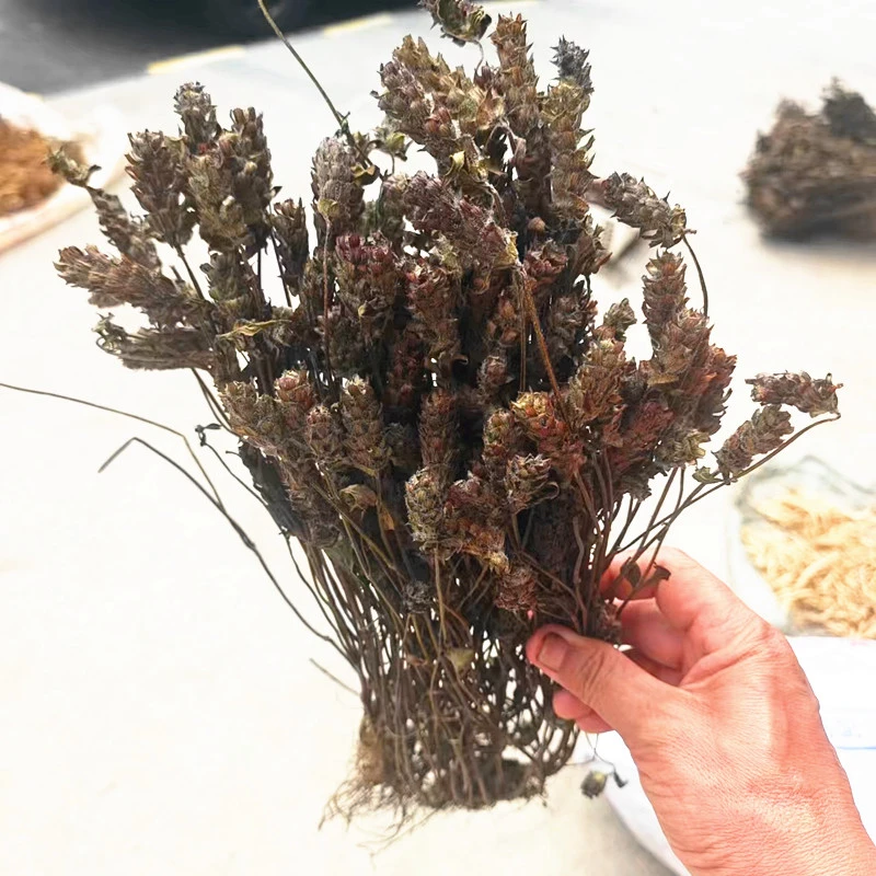 贵州山货夏枯草 高原地产植物全株带根晒干500克干货不是鱼腥草