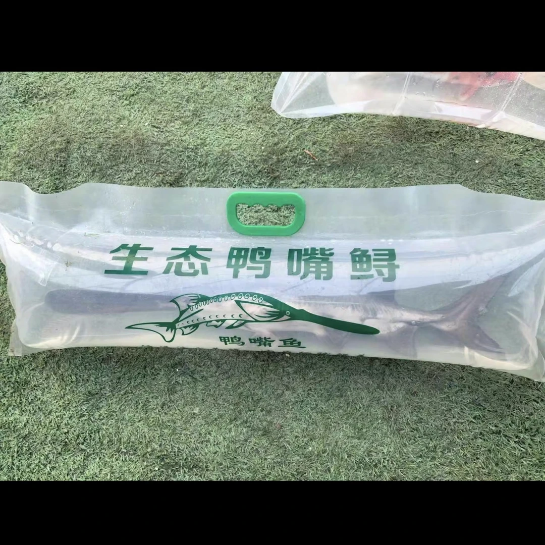 淡水鸭嘴鱼无刺鱼礼品包装，软骨鱼，老人小孩都喜欢吃