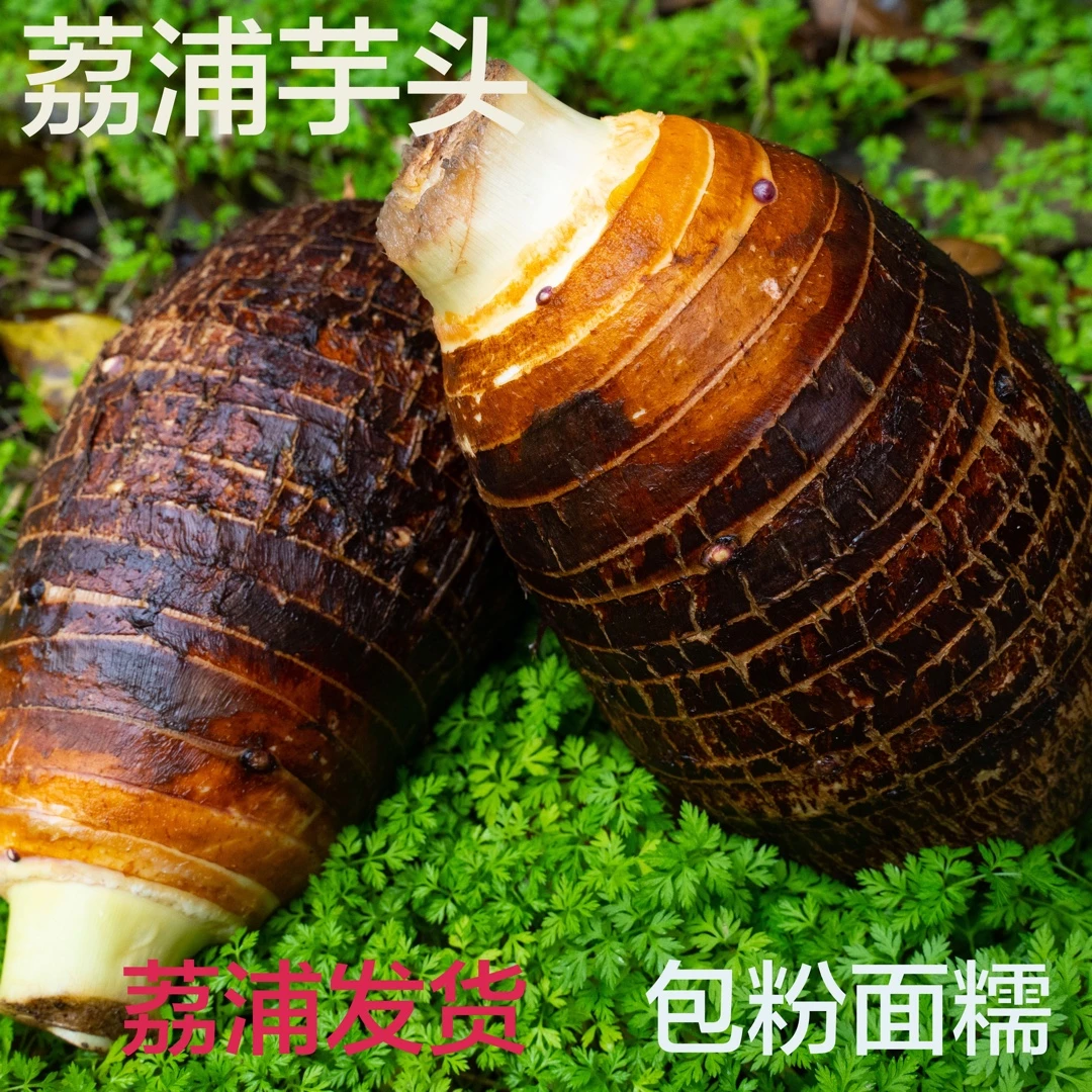【甘小连专属】正宗荔浦芋头新鲜农产品现挖现发原产地发货3/5/9斤