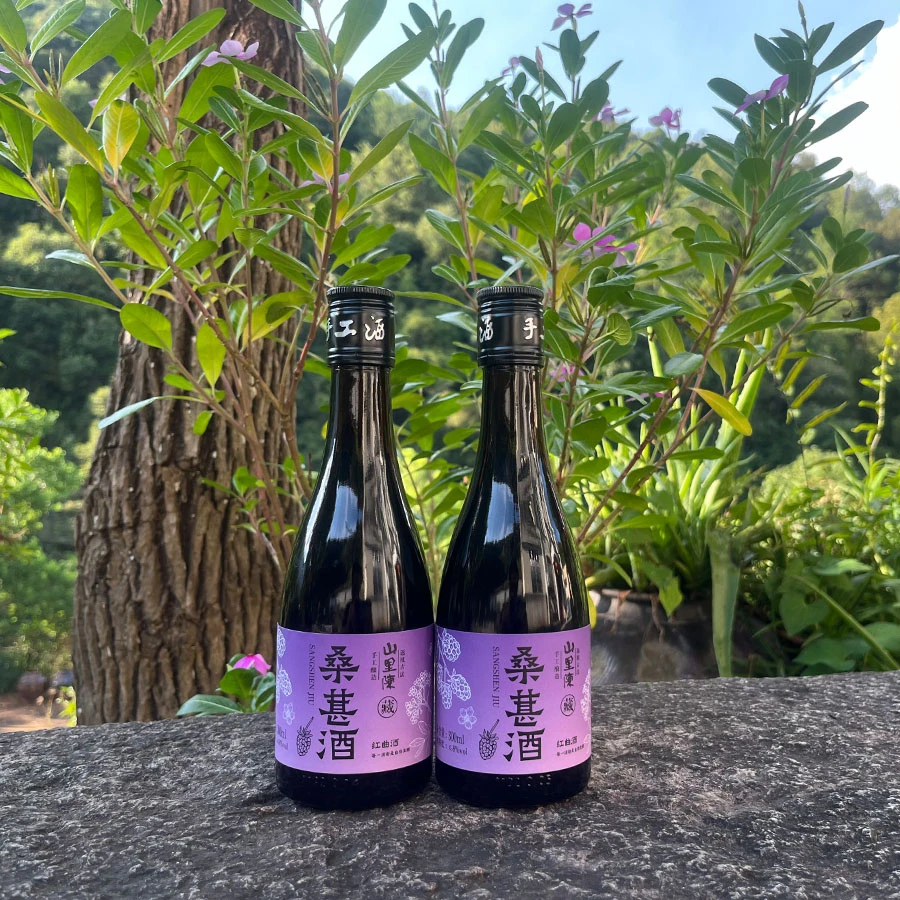 山里陈桑葚酒300ml红曲酒酿造年份手工低度甜酒微醺古法老酒