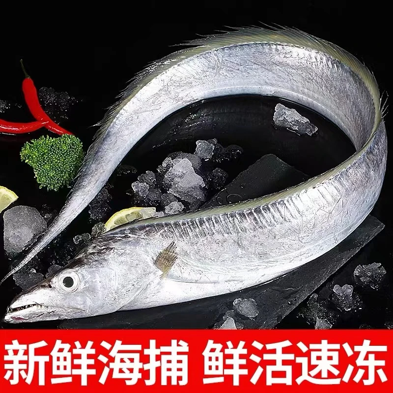 【8】深海远洋灯光带鱼共5斤共6-7条 鲜鱼速冻锁鲜发货
