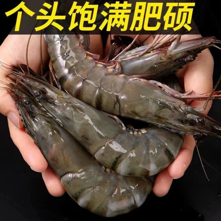 【1】青岛大号黑虎虾/草虾净重3斤（12-14只一斤）活虾速冻锁鲜发货
