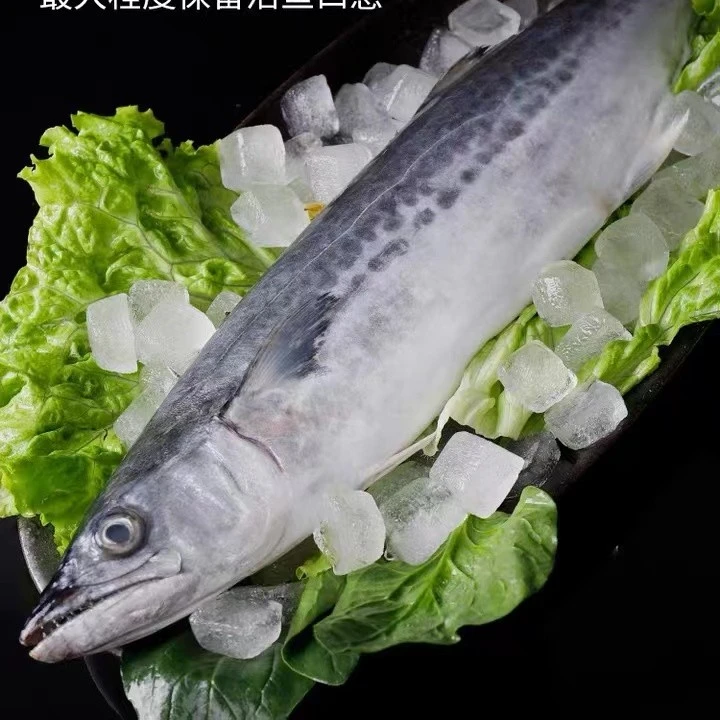 【1】青岛 鲜鲅鱼马鲛鱼共4.5斤（共5-6条）青岛顺丰鲜鱼速冻锁鲜发货