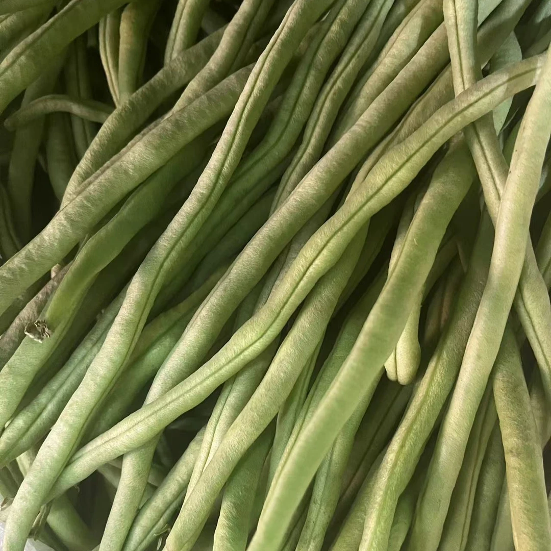 无丝豆角 约1斤左右