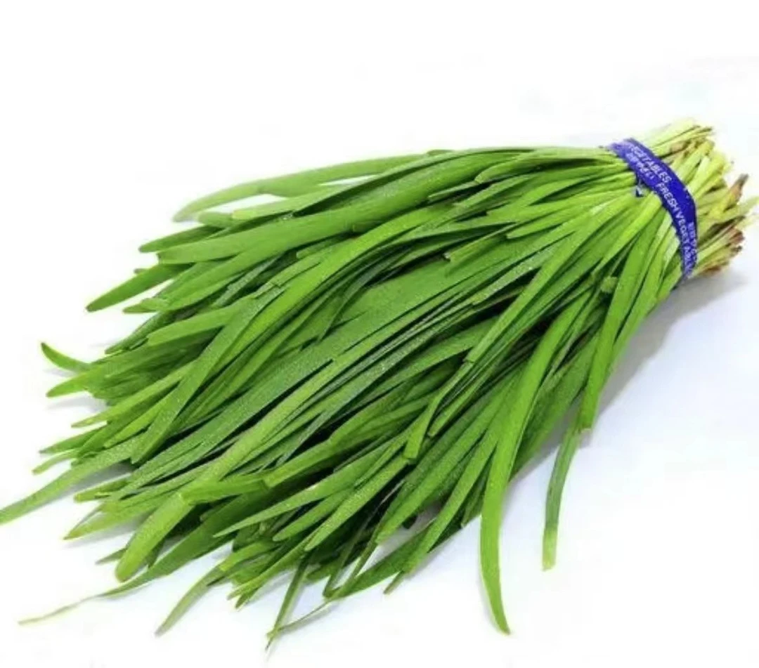 韭菜1捆 约280g
