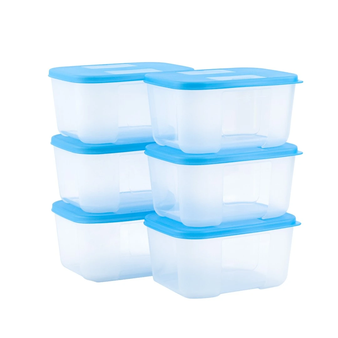 特百惠 700ML冷冻保鲜盒 长方形冰箱透明密封收纳储藏盒