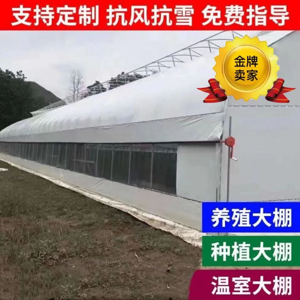 家用多功能温室大棚骨架蔬菜种植养殖棚定做鸡鸭鹅牛猪羊养殖棚