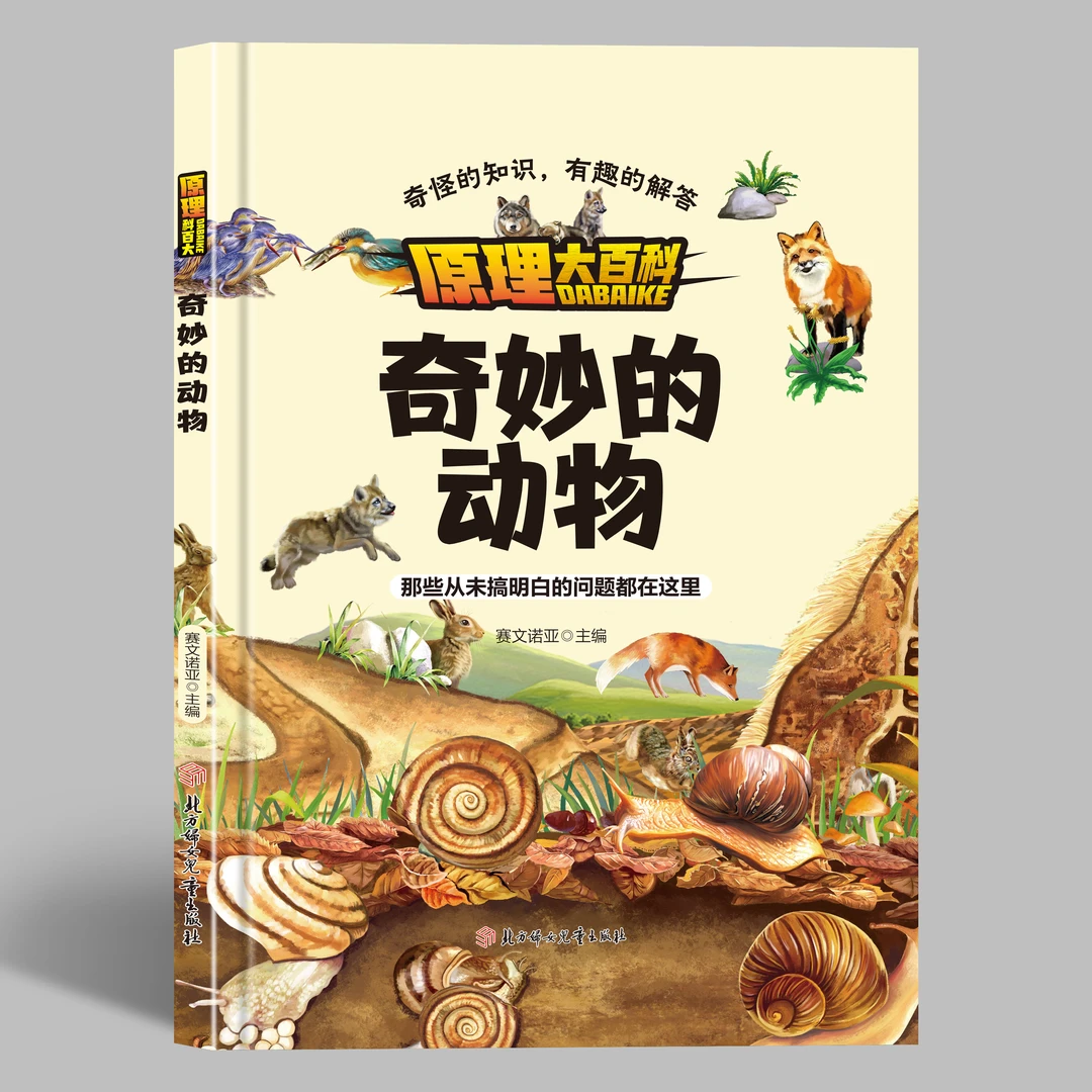 原理大百科：奇妙的动物儿童加厚城市精美出版大图探索阶段