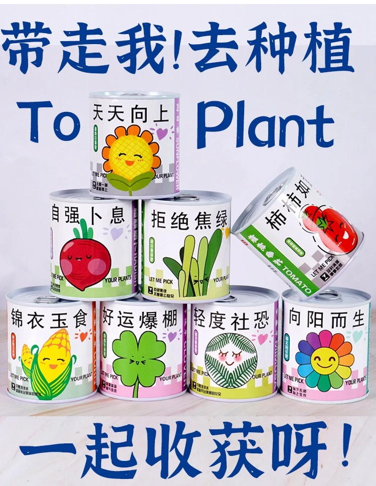 网红祝福幸运种子diy种子种种种办公室网红懒人小绿植到手即可种