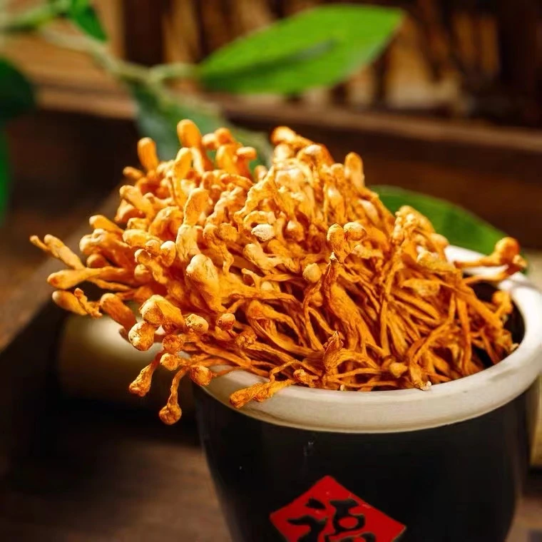 从草花虫草花蛹虫草鲜香原味无硫煲汤凉拌鲜浓郁鲜爽营养新鲜严选
