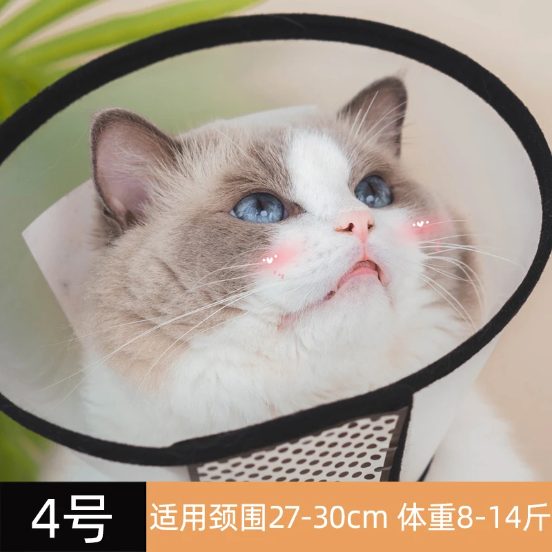 猫咪项圈伊丽莎白圈狗狗防舔软头套伊莉伊利沙白羞耻脖圈绝育用品