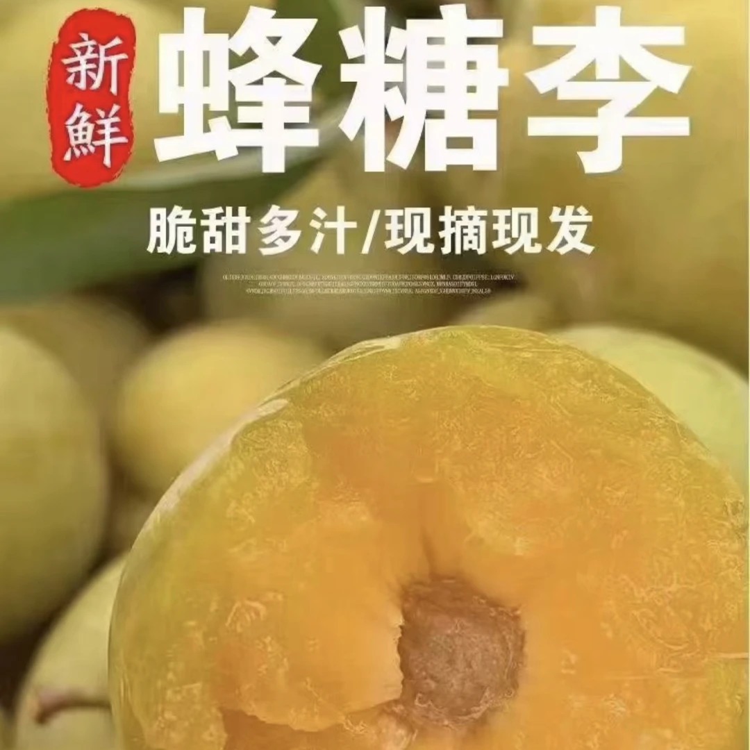 贵州《六马正宗蜂糖李》《十年老树》新鲜中果大果  超大果香