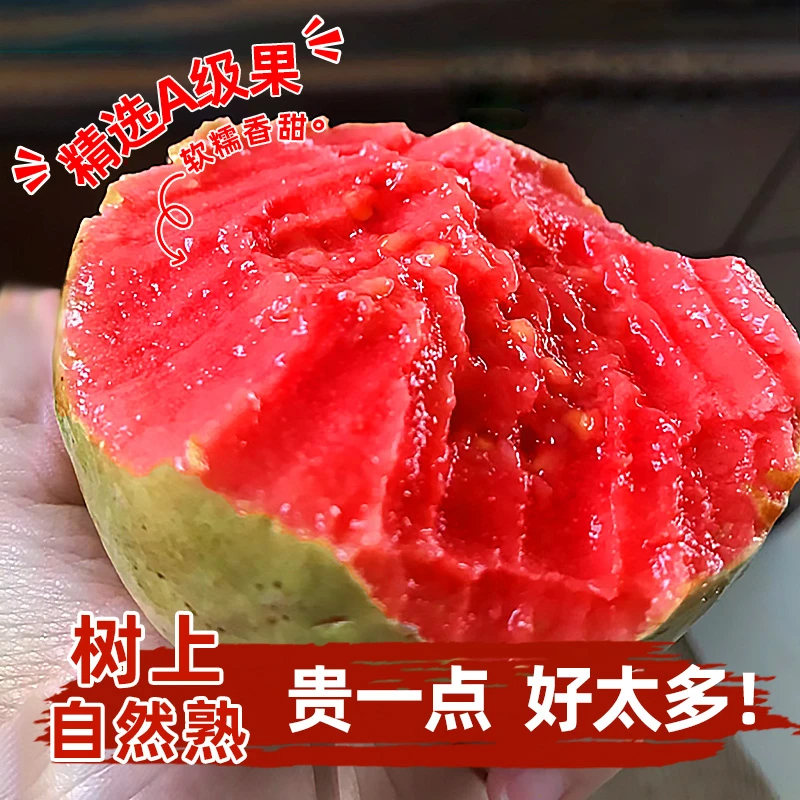 广东草莓芭乐礼盒装 2.5-3.5斤/件