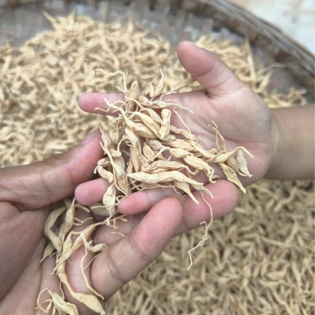 少宇家| 夏至枸杞  山货麦冬