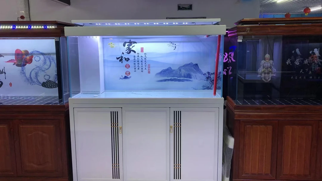 水族箱鱼缸观赏鱼鱼缸