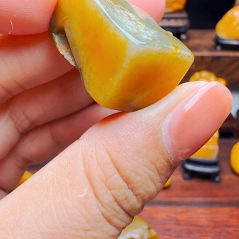 寿山石其他蒜**动乌鸦皮田黄