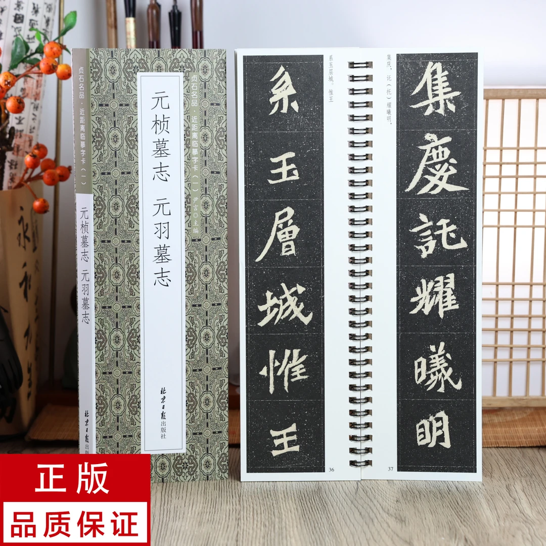 元桢墓志 元羽墓志 魏碑 静文轩近距离临摹字帖