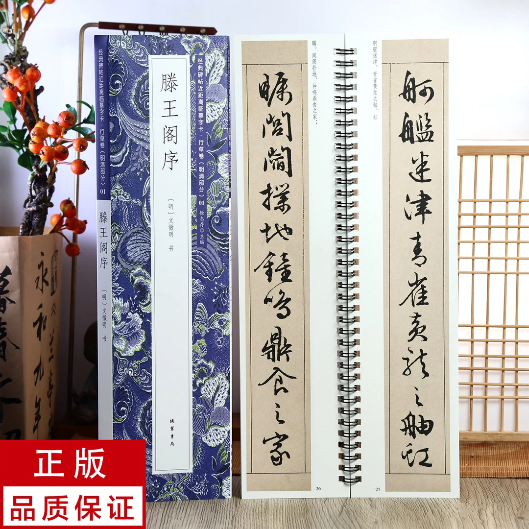 滕王阁序 文徵明行书 经典碑帖近距离临摹字卡