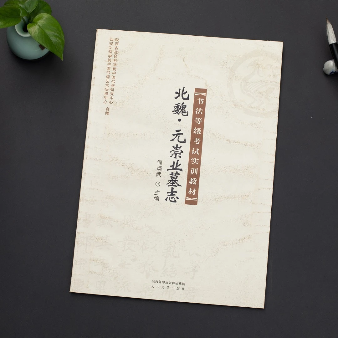 【书法等级考试】北魏·元崇业墓志   魏碑 全文原帖经典