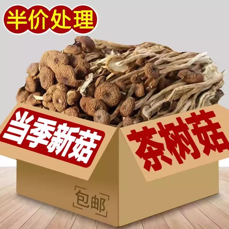 茶树菇新货干货500g新货不开伞茶树菇农家日晒干的茶树菌菇20g50g