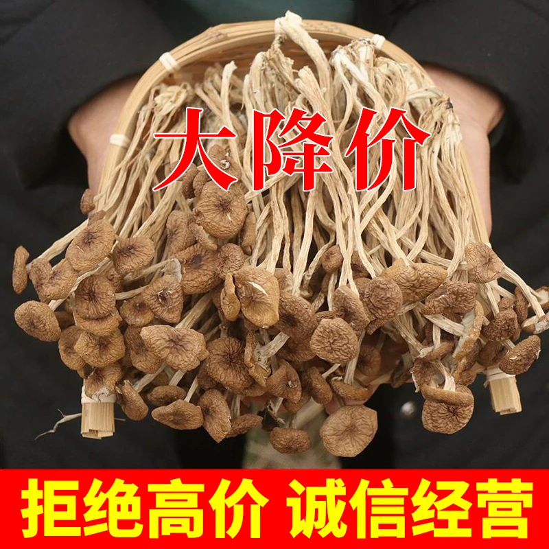 茶树菇干货不开伞茶树菇古田农家特产新货茶树菌菇食用菌煲汤佳品