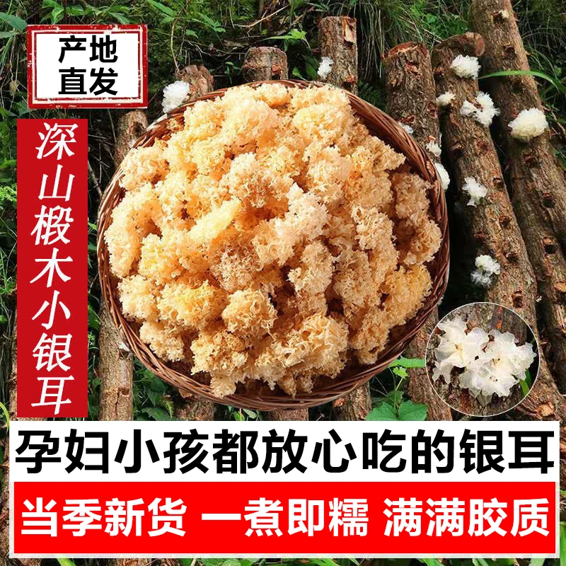 新货古田椴木小朵银耳干货椴木银耳软糯出胶雪耳银耳百合莲子煲汤