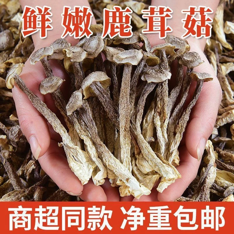 精选净重鹿茸菇干货农家新鲜新货鹿茸菌香菇食用菌鹿茸菇煲汤食材
