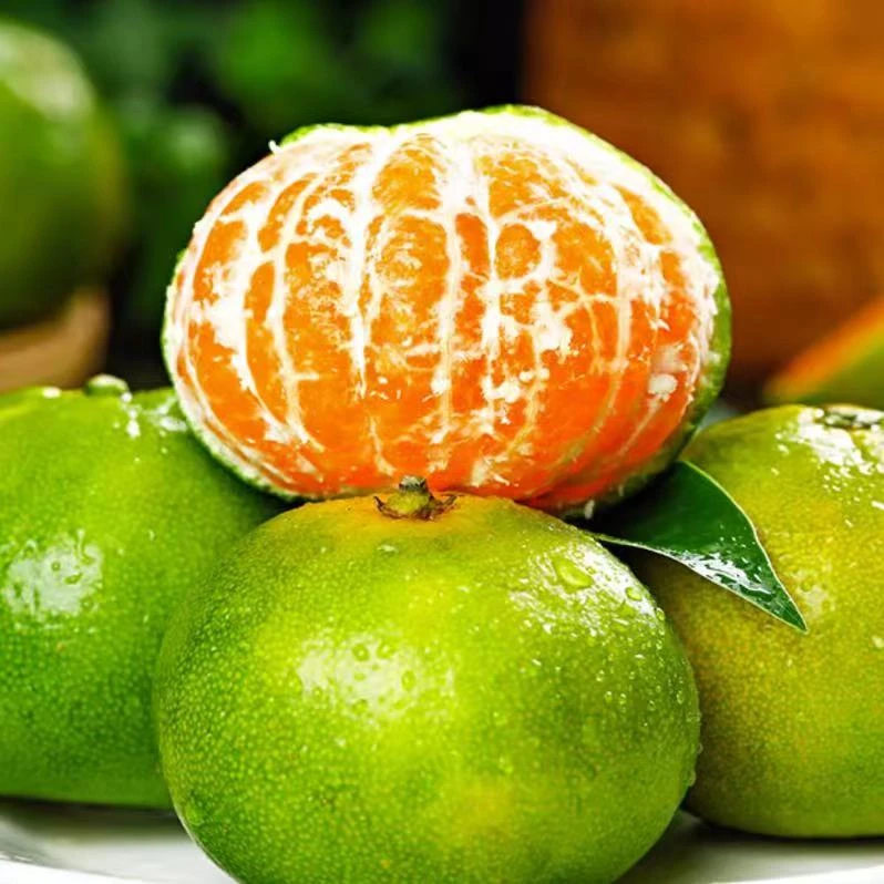 正宗江西赣南寻乌蜜桔带箱5斤青皮橘子皮薄酸甜孕妇水果新鲜多汁