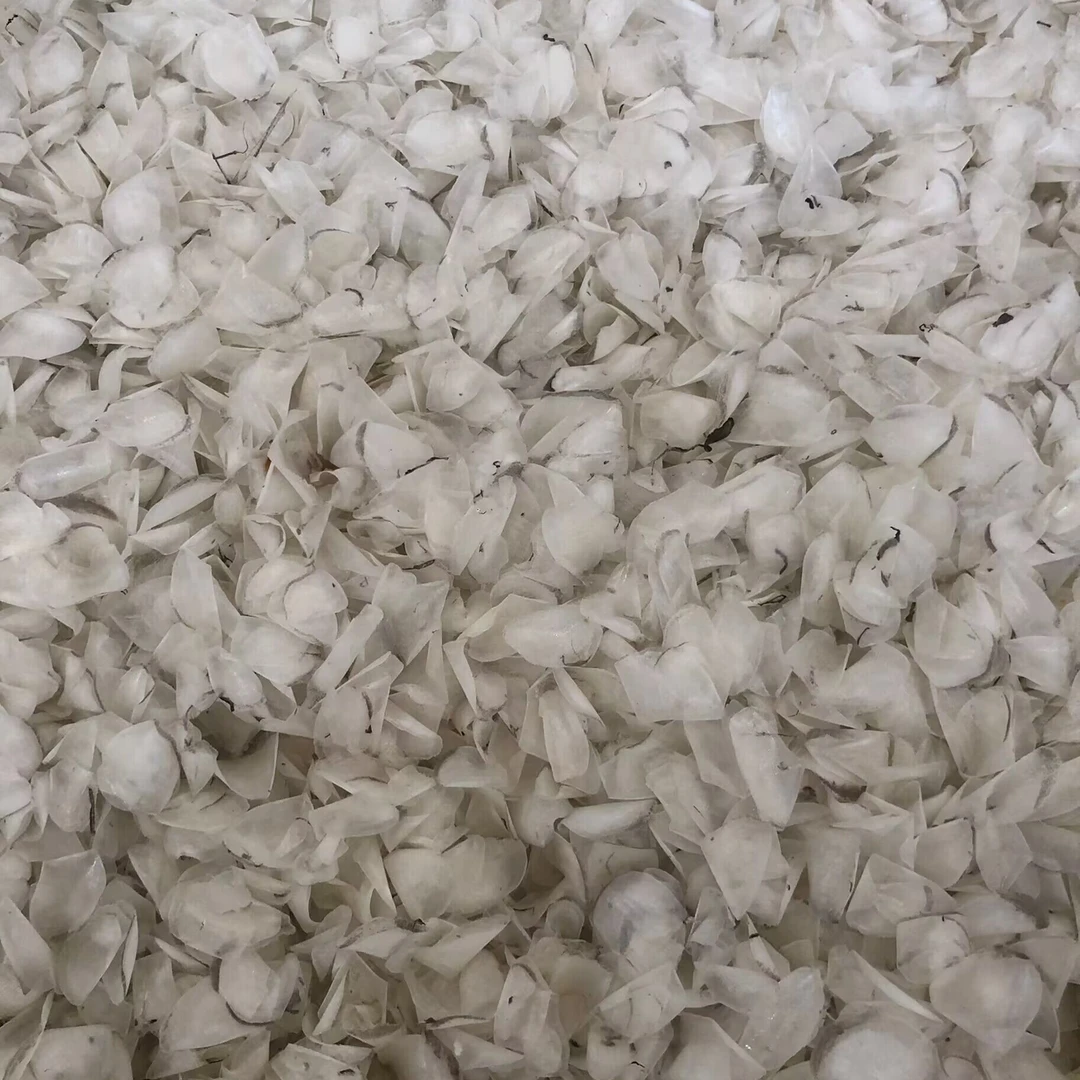 蜘蛛鱼鳞 250克 广东楚林鱼胶花胶