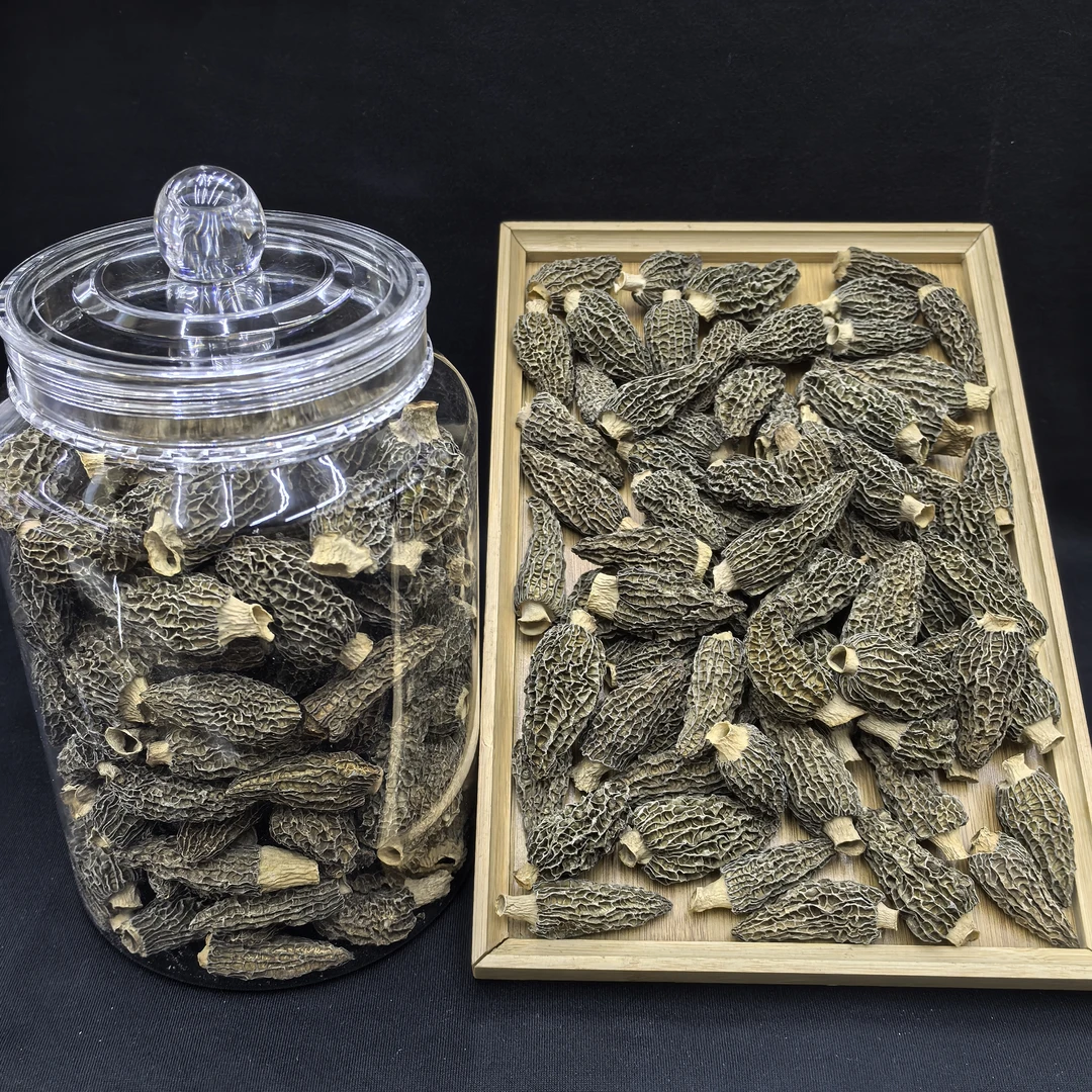 【品之嘉甄选】精选羊肚菌200克瓶装煲汤材料